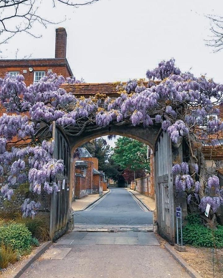Winchester Retreatアパートメント エクステリア 写真